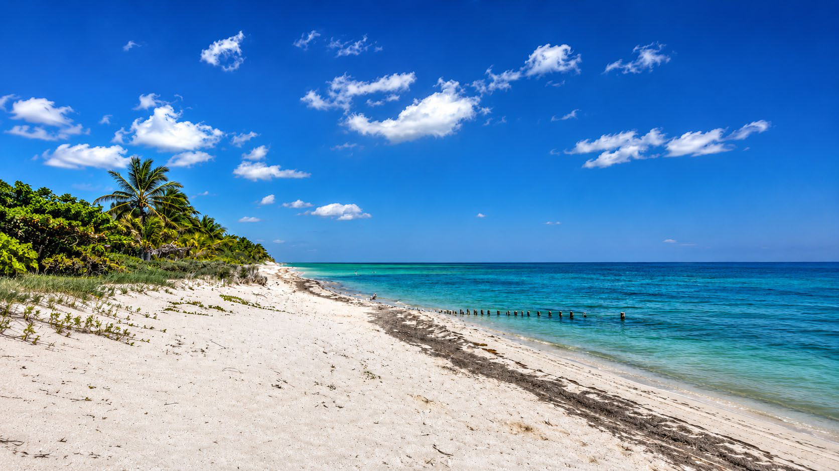 Playa de arena clara y mar en la costa de Yucatán